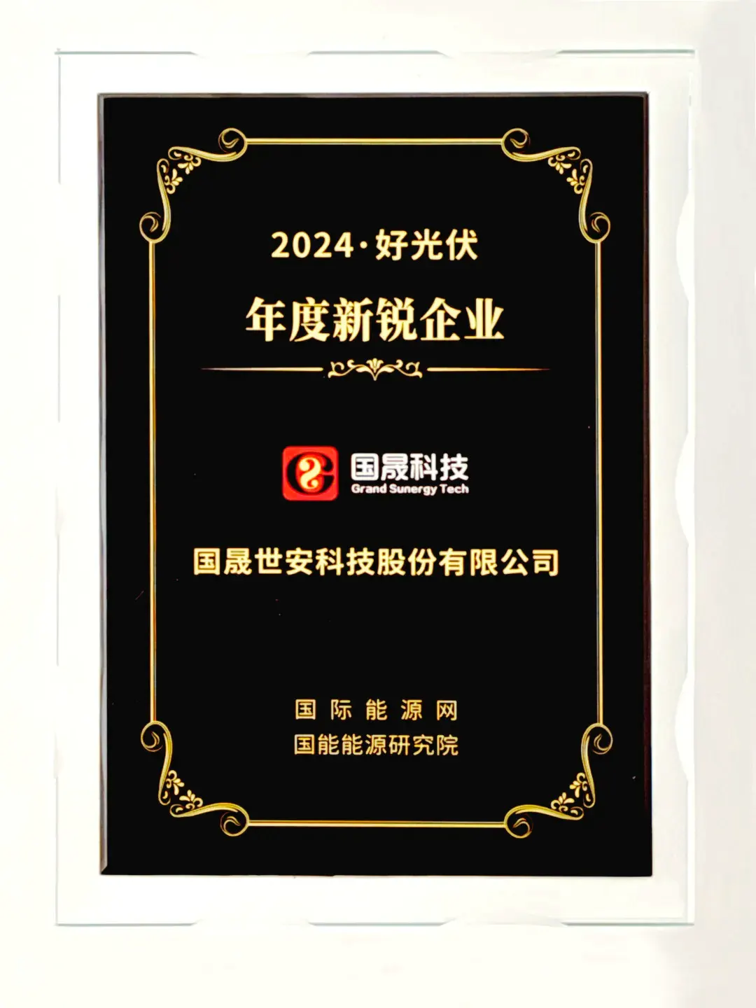 Unstoppable Momentum: Grand Sunergy Wins 2024 China's Best PV Emerging Enterprise Award